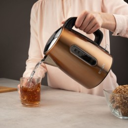 SCARLETT Электрический чайник SC-EK21S98