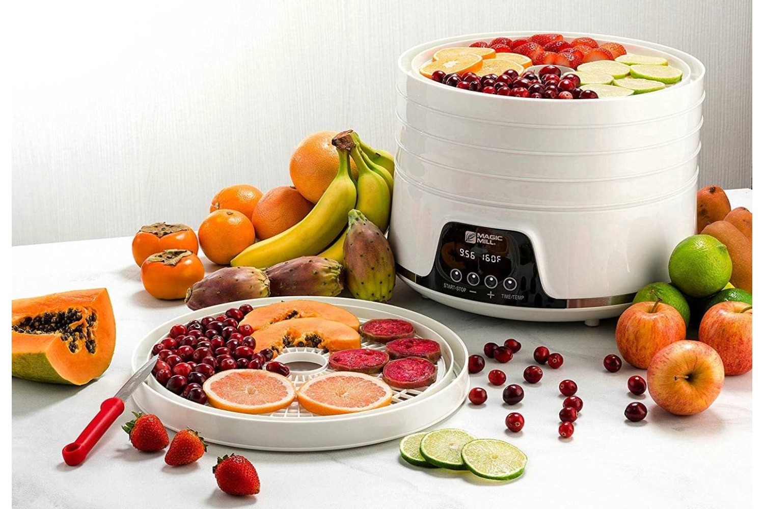 Как выбрать электрическую сушилку для ягод, овощей и фруктов
