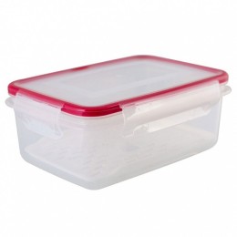 DELTA Контейнер с сеткой 2,4 л L ЭКСТРА ЛОК BRIGHT 67210