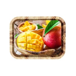 DELTA Поднос Тропические фрукты П332*258-01800 микс