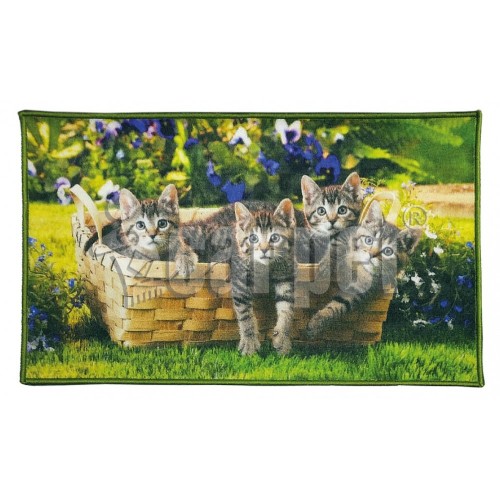 Коврик Shahintex fantasy icarpet котята 50*80 см. придверный  00-00004014