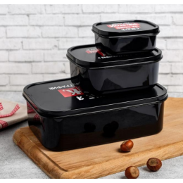 ЗВ Набор ланч-боксов  3 шт. ЗОЖ 4933698