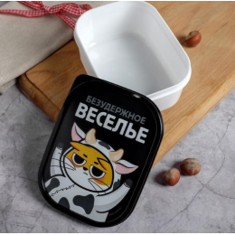 ЗВ Ланч-бокс  500 мл. Безудержное веселье.Кот 5094995