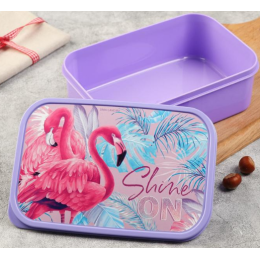 ЗВ Ланч-бокс  1200 мл. Shine on 5019081