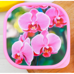 ЗВ Ланч-бокс  700 мл. Орхидеи 2789838