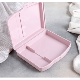 ЗВ Ланч-бокс  550 мл.  Микс 4518960