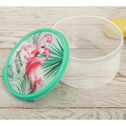 ЗВ Ланч-бокс  500 мл. Яркого настроения 3855123