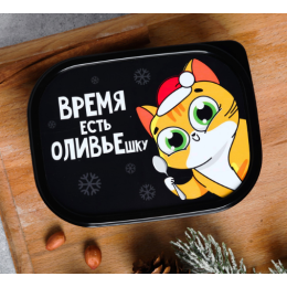 ЗВ Ланч-бокс  500 мл. Кот 4486237