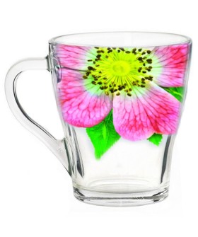 ДЕКОСТЕК Кружка 250 мл Живая природа. Китайская роза 1649-Д