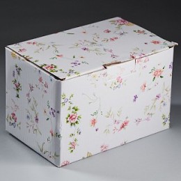 BEATRIX Набор салатников 6 предметов 11,5 см Венеция МХ009U2/6