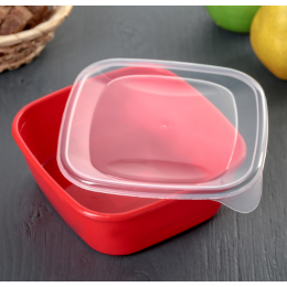 Clever’s Набор контейнеров 0,8л./3 шт. 4064714 микс