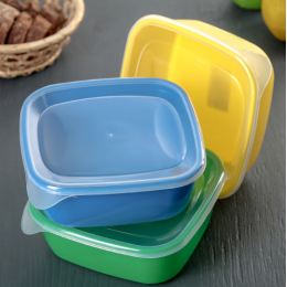 Clever’s Набор контейнеров 0,8л./3 шт. 4064714 микс