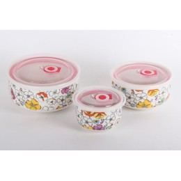 КОРАЛЛ Набор салатников 1/3 с крышкой 10.5см/13см/16см Блум 4888 микс