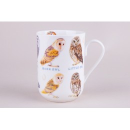 КОРАЛЛ Кружка 310мл. Wild birds YQ20501-4 микс