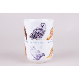 КОРАЛЛ Кружка 310мл. Wild birds YQ20501-4 микс