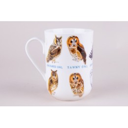 КОРАЛЛ Кружка 310мл. Wild birds YQ20501-4 микс