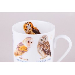 КОРАЛЛ Кружка 310мл. Wild birds YQ20501-4 микс