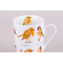 КОРАЛЛ Кружка 310мл. Wild birds YQ20501-4 микс