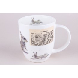 КОРАЛЛ Кружка 420 мл.Animals YQ2081-4 микс