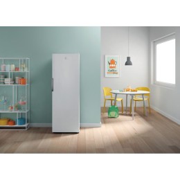 INDESIT Морозильная камера DFZ 5175
