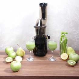 ENDEVER Шнековая соковыжималка SIGMA-91