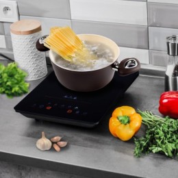 ENDEVER Индукционная плитка Skyline IP-48  