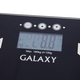 GALAXY Весы-анализаторы многофункциональные GL4850