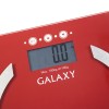 Весы-анализаторы многофункциональные Galaxy GL4851