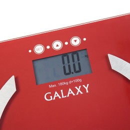 GALAXY Весы-анализаторы многофункциональные GL4851