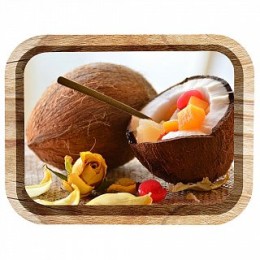 DELTA Поднос Тропические фрукты П332*258-01800 микс