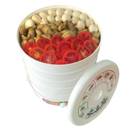 EVGO Сушилка для фруктов DVH37-500/7