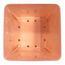 Горшок для цветов InGreen MICROCOSM 0,5 л IG623410040 персиковая карамель