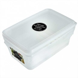 DELTA Набор контейнеров для заморозки Honey (2×1,6 л) SE111212545 Вкус лета