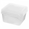 Набор контейнеров квадратных для заморозки продуктов Lucky Friday Frozen 3 штуки 0,75 л LF1040ПР прозрачный
