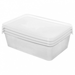 DELTA Набор контейнеров прямоугольных для заморозки продуктов Lucky Friday Frozen 3 штуки 1,35 л LF1044ПР прозрачный