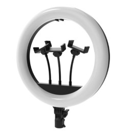 Ritmix Светодиодная кольцевая лампа освещения RRL-360