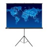 Экран Cactus 150x150см Triscreen CS-PST-150x150 1:1