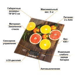 ENDEVER Весы кухонные Chief-501