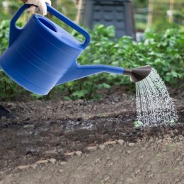 Sparta Лейка садовая, 10 л, пластмассовая Россия 67520