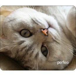 PERFEO Коврик для мыши PF_D0654 Cat