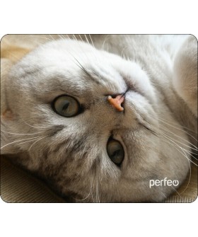 PERFEO Коврик для мыши PF_D0654 Cat
