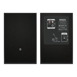 Ginzzu Акустика GM-313