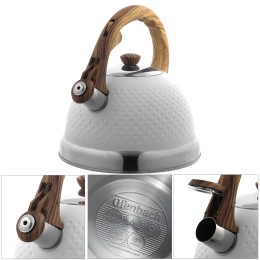 Kamille Чайник 2,7 л. из нержавеющей стали со свистком Ofenbach NB 100305 white