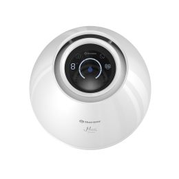 THERMEX Воздухоочиститель Muse 200