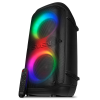 Аудиосистема для вечеринок с Bluetooth, караоке и FM-радио PS-800