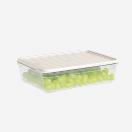 DD STYLE Лоток с крышкой 1100 мл. 920