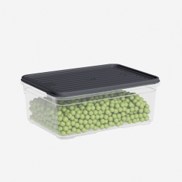 DD STYLE Лоток с крышкой 1600 мл. 921