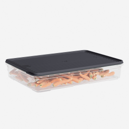 DD STYLE Лоток с крышкой 2200 мл. 930