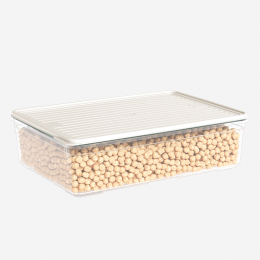 DD STYLE Лоток с крышкой 3350 мл. 931