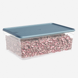 DD STYLE Лоток с крышкой 4300 мл. 932